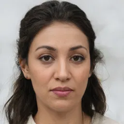 Avatar de João Pereira